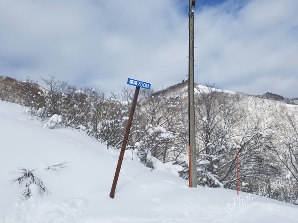 岩原スキー場 コース